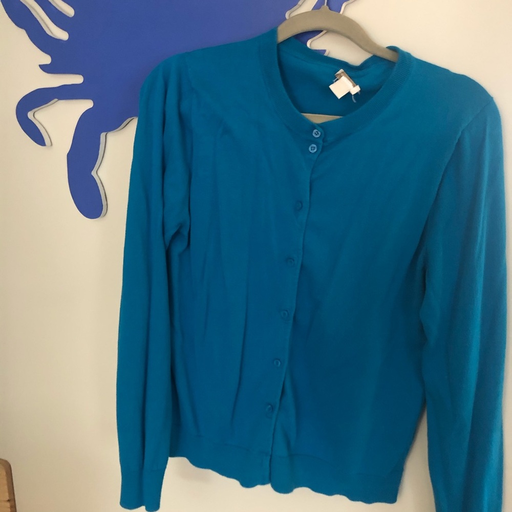 Blue button down cardigan JCrew